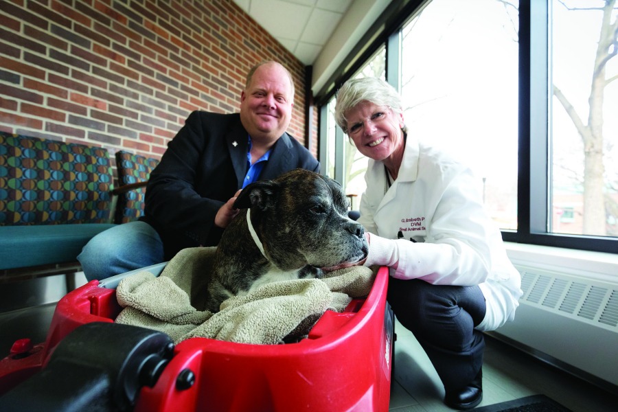 Photo at the vet hospital