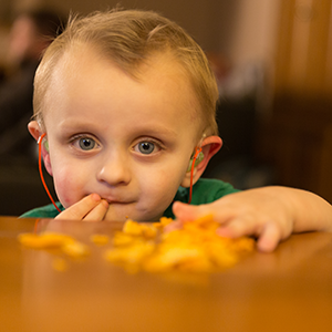 Joey eating