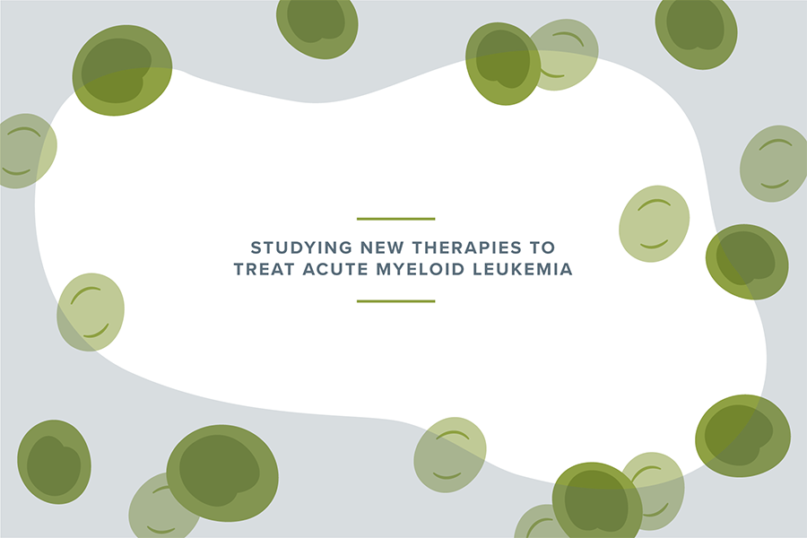 "Studying new therapies to treat acute myeloid leukemia" graphic"